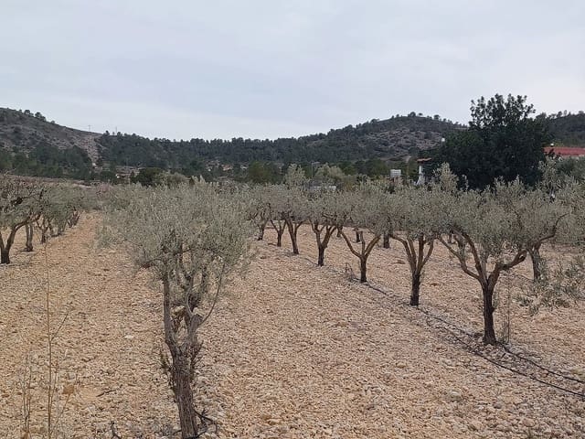 Ubebygd land til salgs i La Romana - € 22 000 (Ref: 9475208)