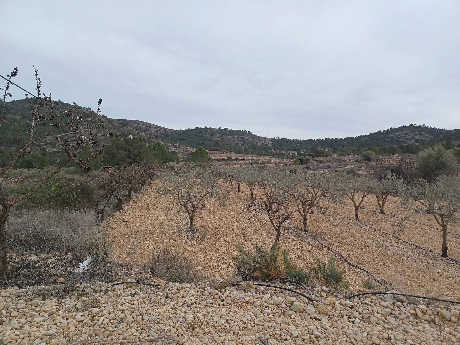 Ubebygd land til salgs i La Romana - € 22 000 (Ref: 9475208)
