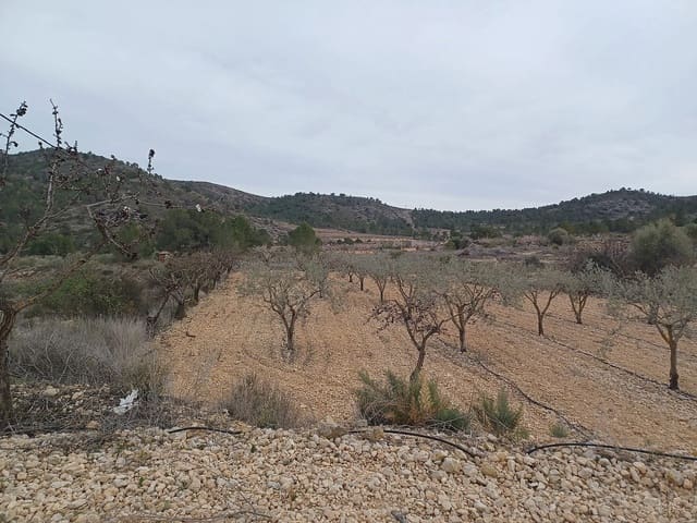 Ubebygd land til salgs i La Romana - € 22 000 (Ref: 9475208)