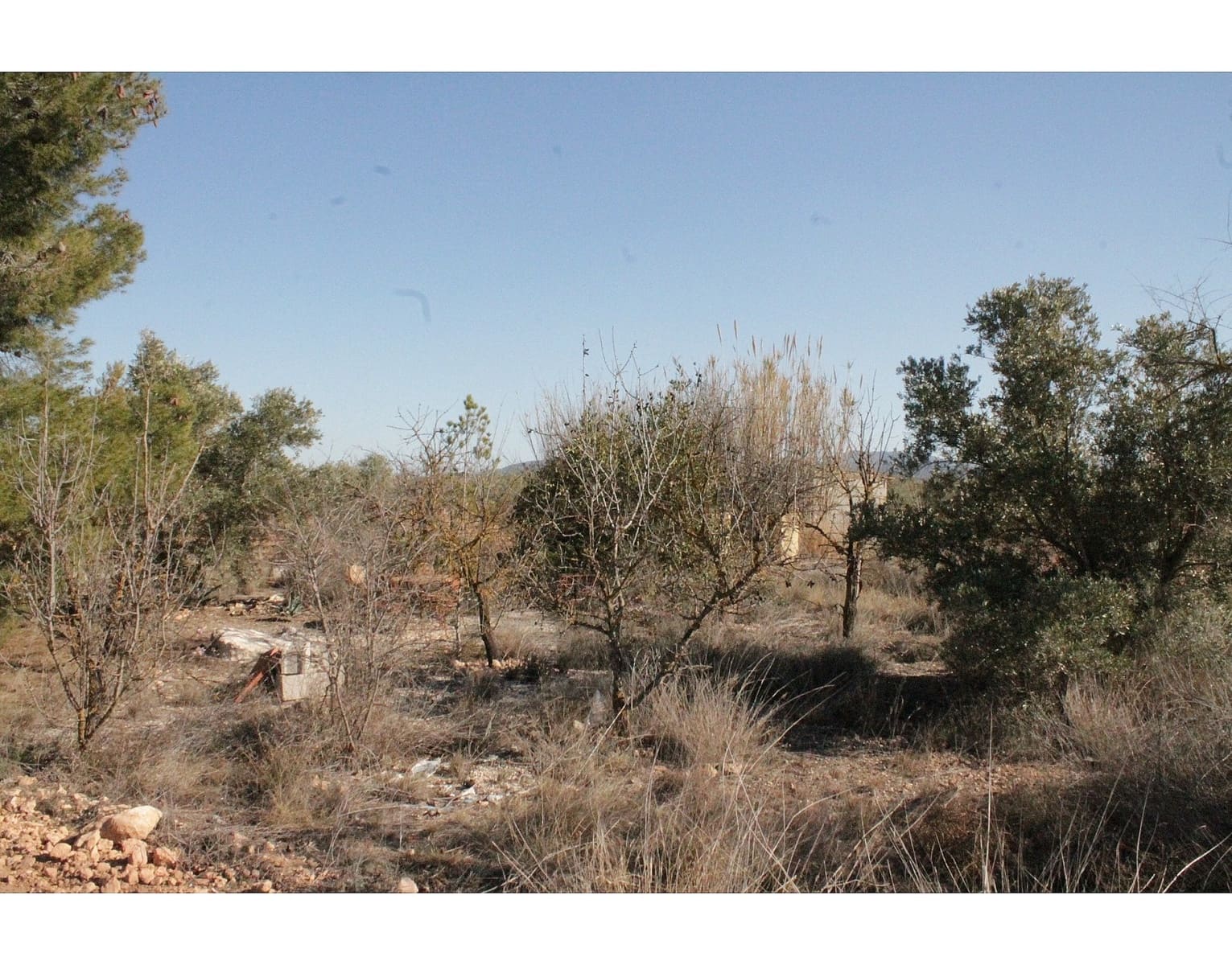 2 bedroom Finca/Country House for sale in Lel - € 87,995 (Ref: 9475212)