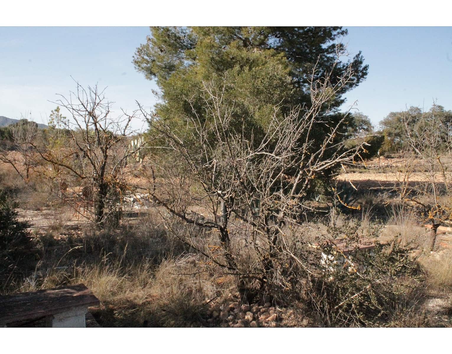 2 bedroom Finca/Country House for sale in Lel - € 87,995 (Ref: 9475212)