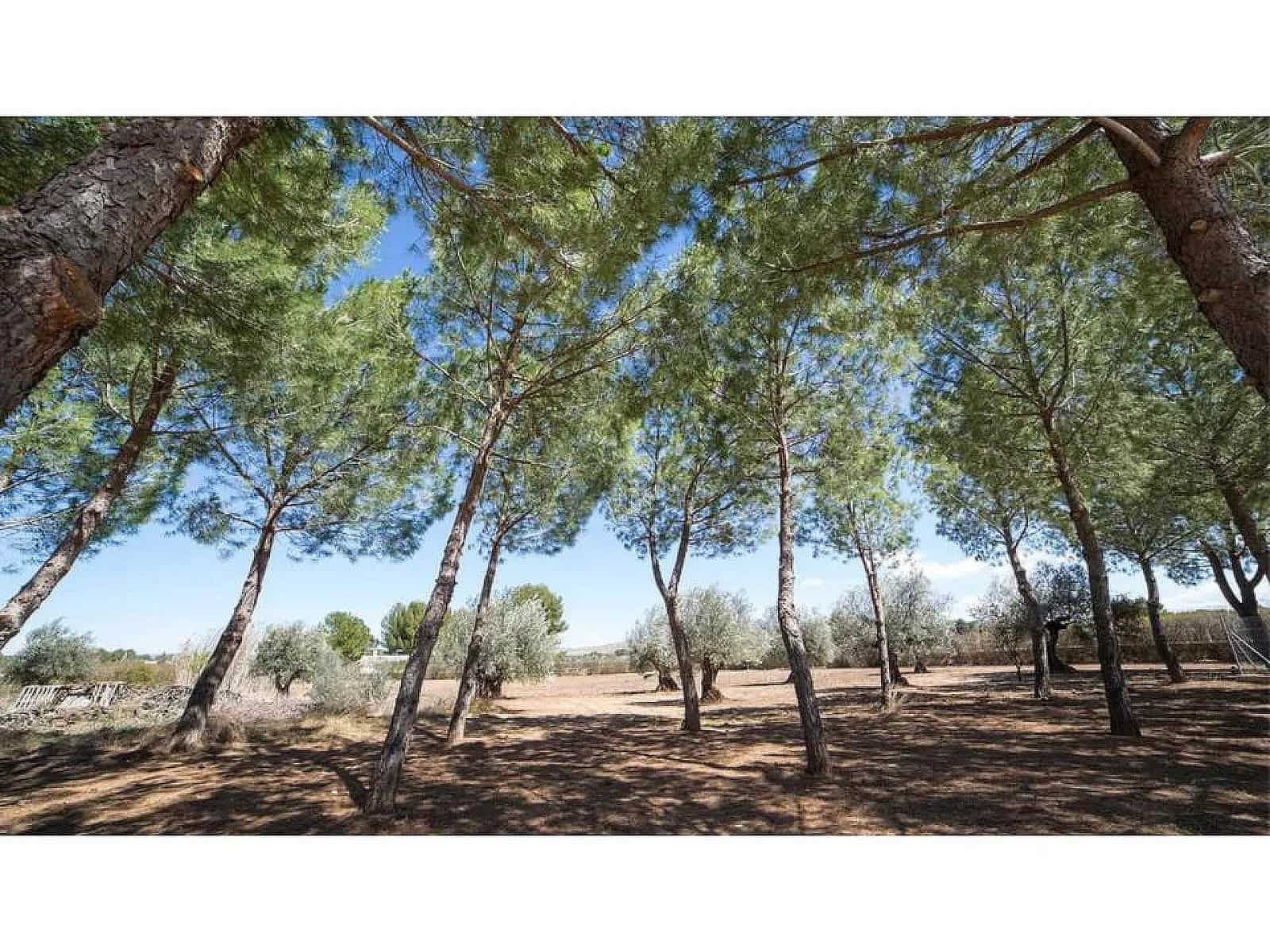 6 bedroom Villa for sale in Yecla - € 600,000 (Ref: 9475215)