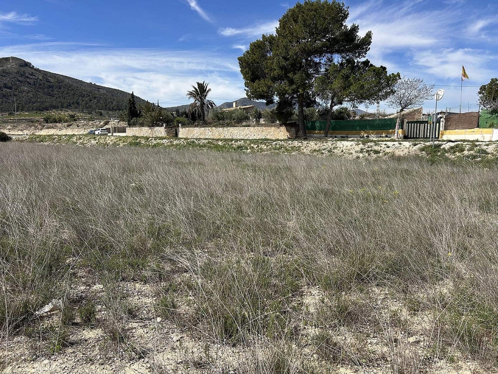 Undeveloped Land for sale in Hondon de las Nieves - € 55,000 (Ref: 9475222)