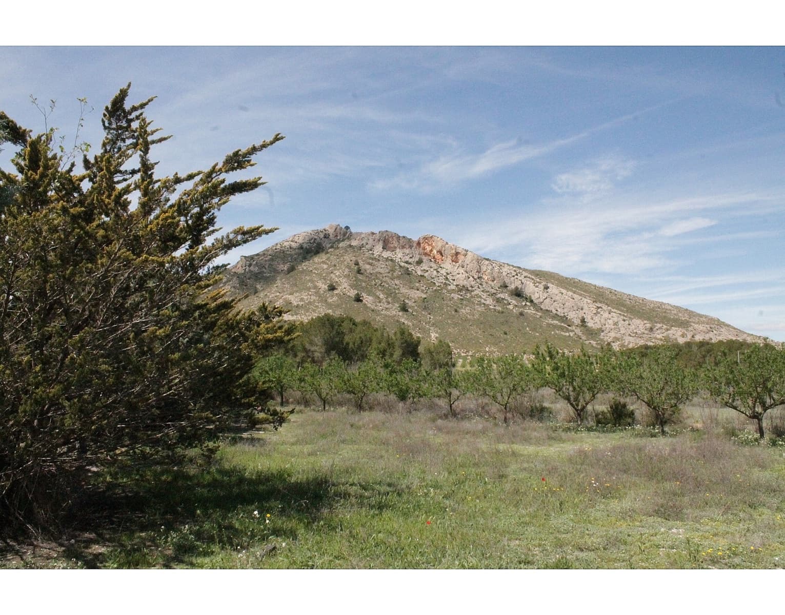 3 camera da letto Finca/Casa di Campagna in vendita in Villena - 285.995 € (Rif: 9475236)