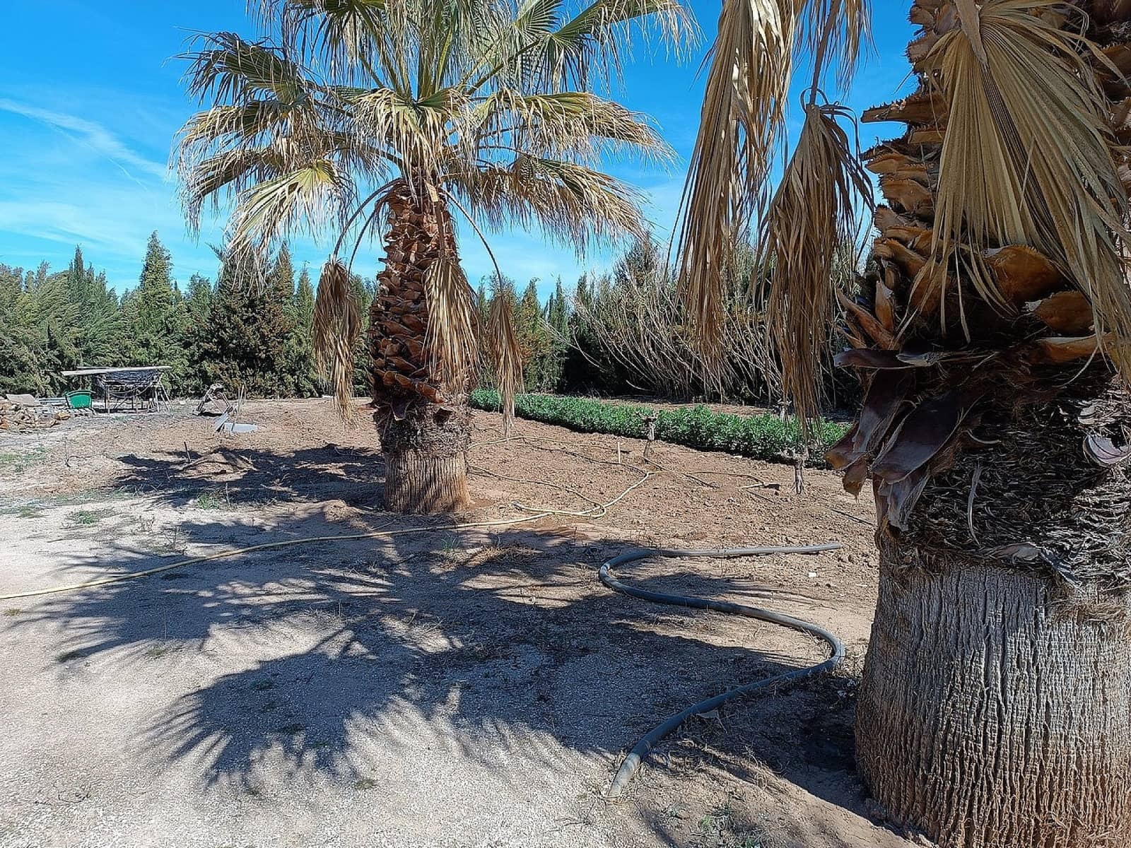 4 soveværelse Villa til salg i Yecla med swimmingpool garage - € 348.000 (Ref: 9475236)