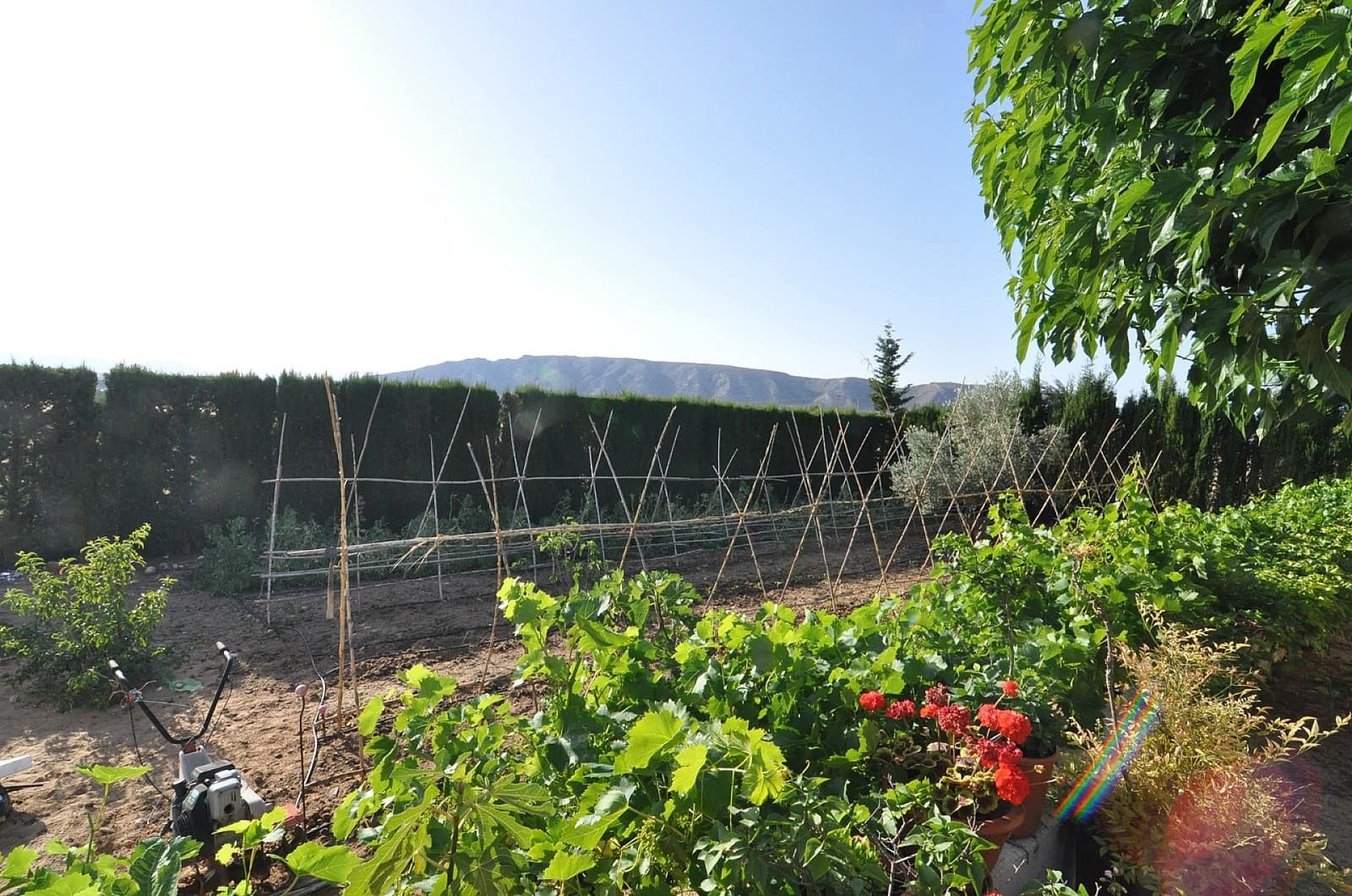 4 bedroom Villa for sale in Villena - € 1,250,000 (Ref: 9475244)