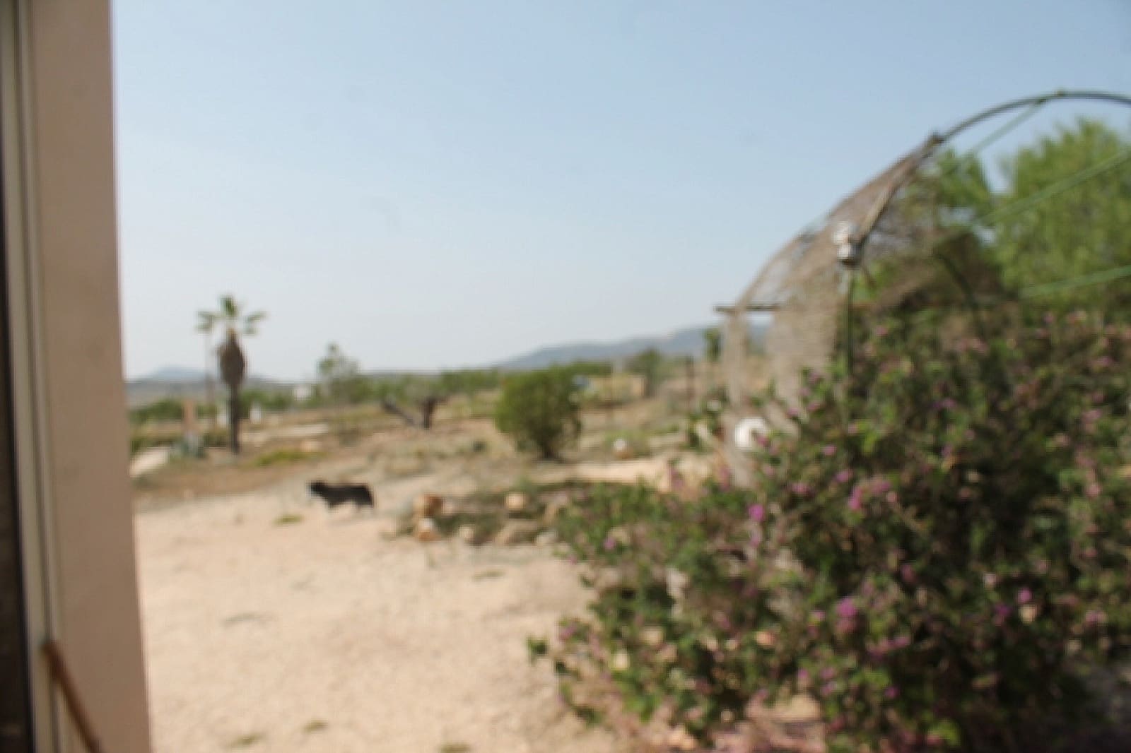 4 slaapkamer Finca/Landhuis te koop in Pinoso - € 324.000 (Ref: 9475262)