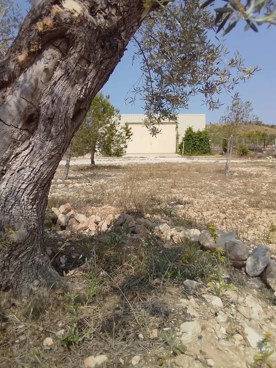 4 slaapkamer Finca/Landhuis te koop in Pinoso - € 324.000 (Ref: 9475262)