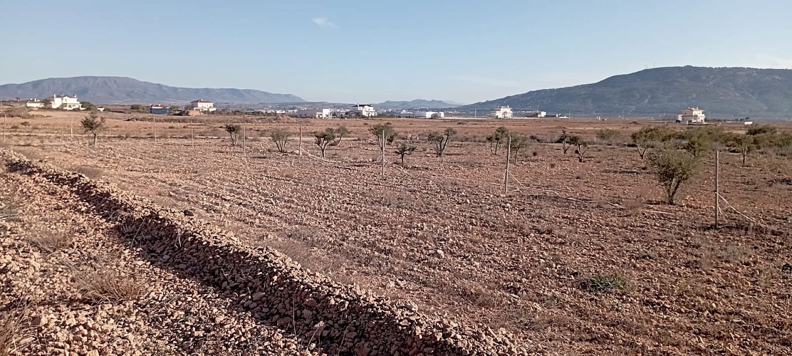 4 slaapkamer Finca/Landhuis te koop in Pinoso - € 324.000 (Ref: 9475262)