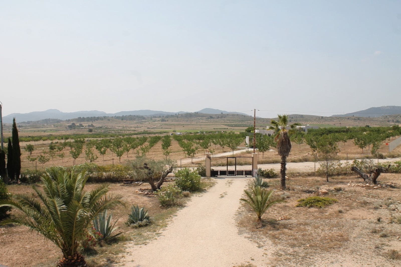 4 slaapkamer Finca/Landhuis te koop in Pinoso - € 324.000 (Ref: 9475262)