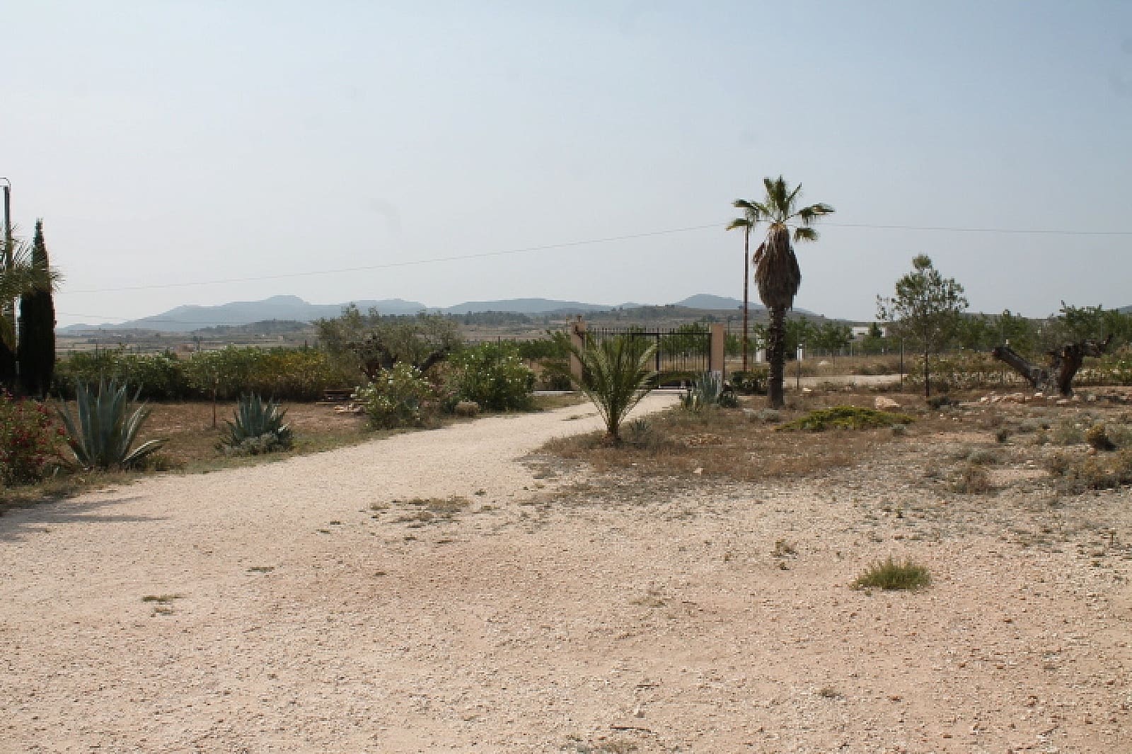 4 slaapkamer Finca/Landhuis te koop in Pinoso - € 324.000 (Ref: 9475262)