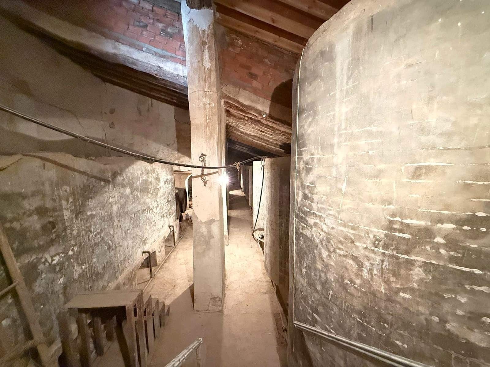 Finca/Casa Rural de 12 habitaciones en Encebras en venta - 529.000 € (Ref: 9475271)