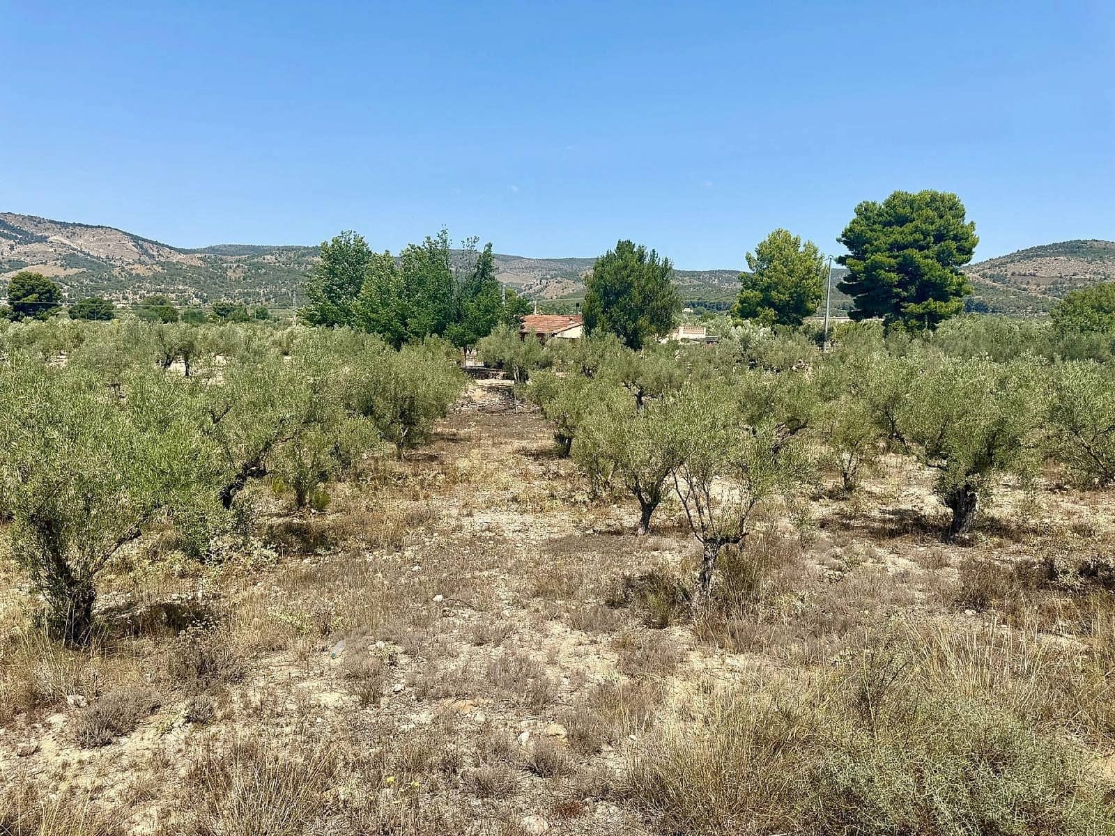 3 slaapkamer Villa te koop in Onil - € 498.000 (Ref: 9475284)