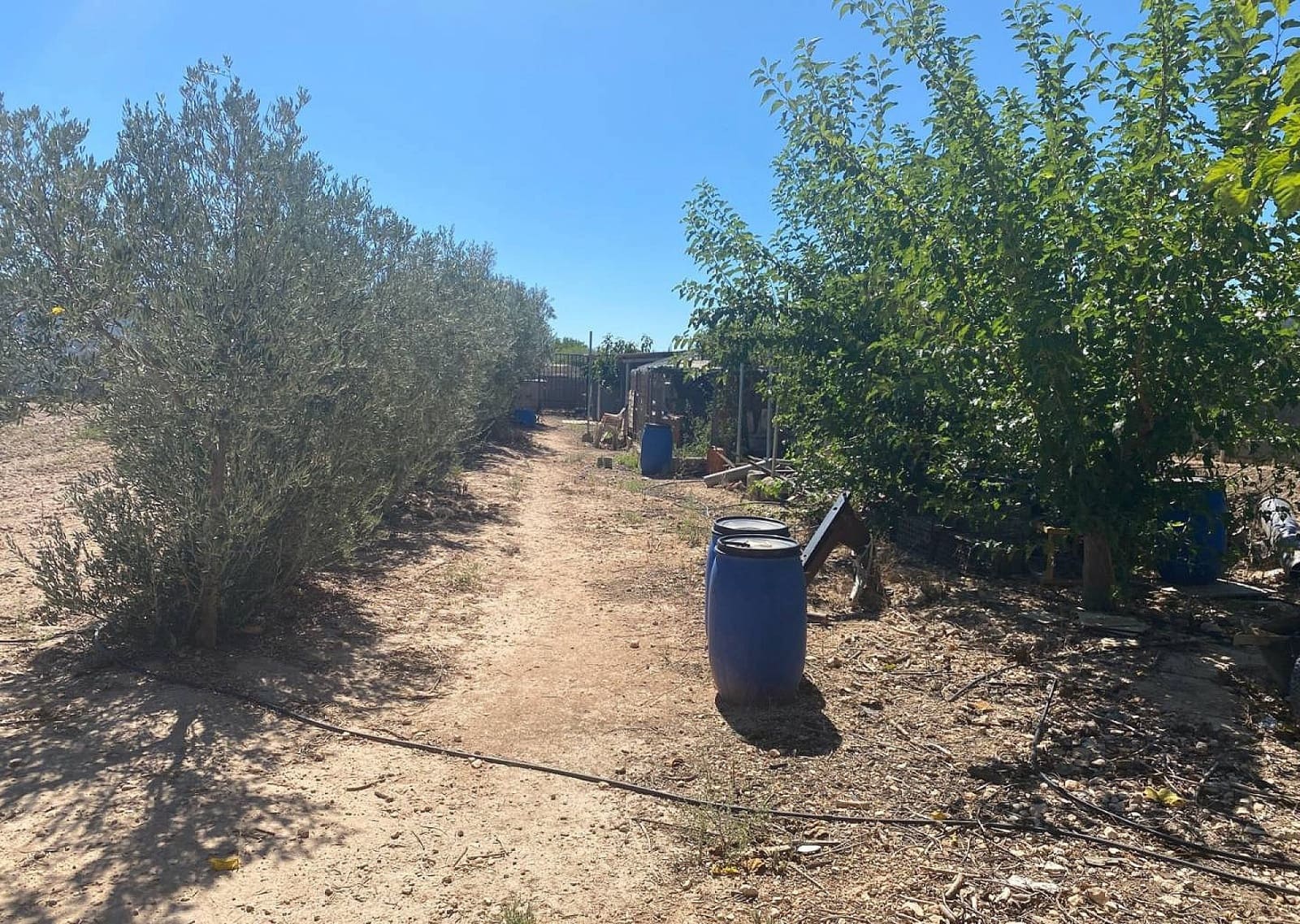 3 bedroom Villa for sale in Salinas - € 249,995 (Ref: 9475286)