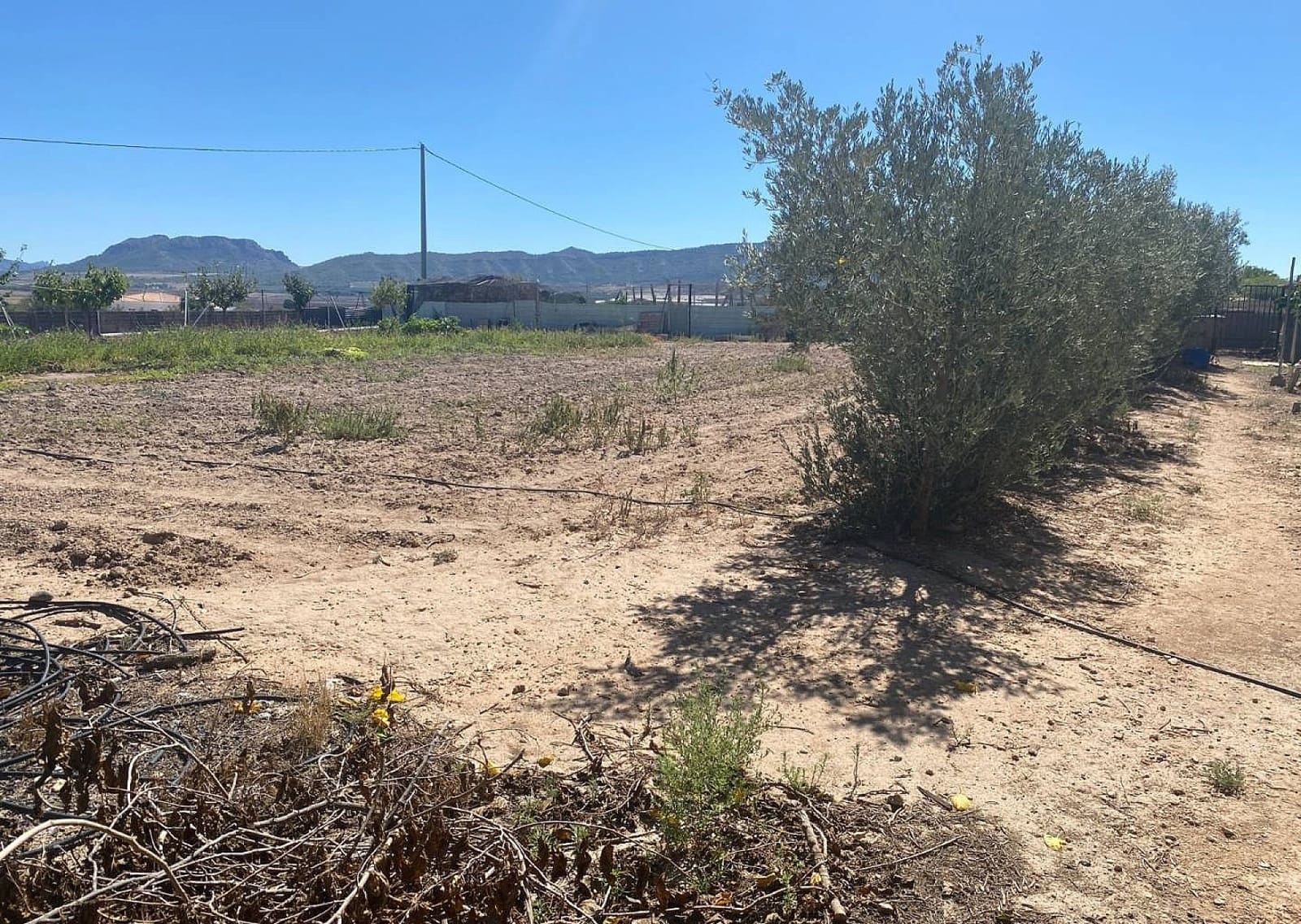 3 bedroom Villa for sale in Salinas - € 249,995 (Ref: 9475286)