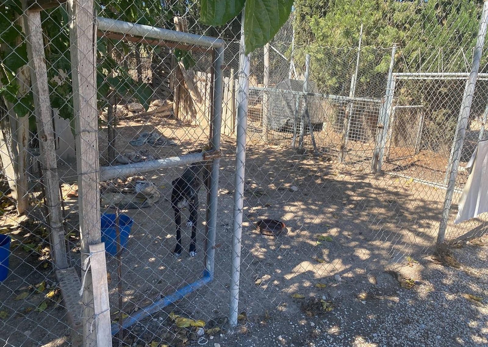 3 bedroom Villa for sale in Salinas - € 249,995 (Ref: 9475286)