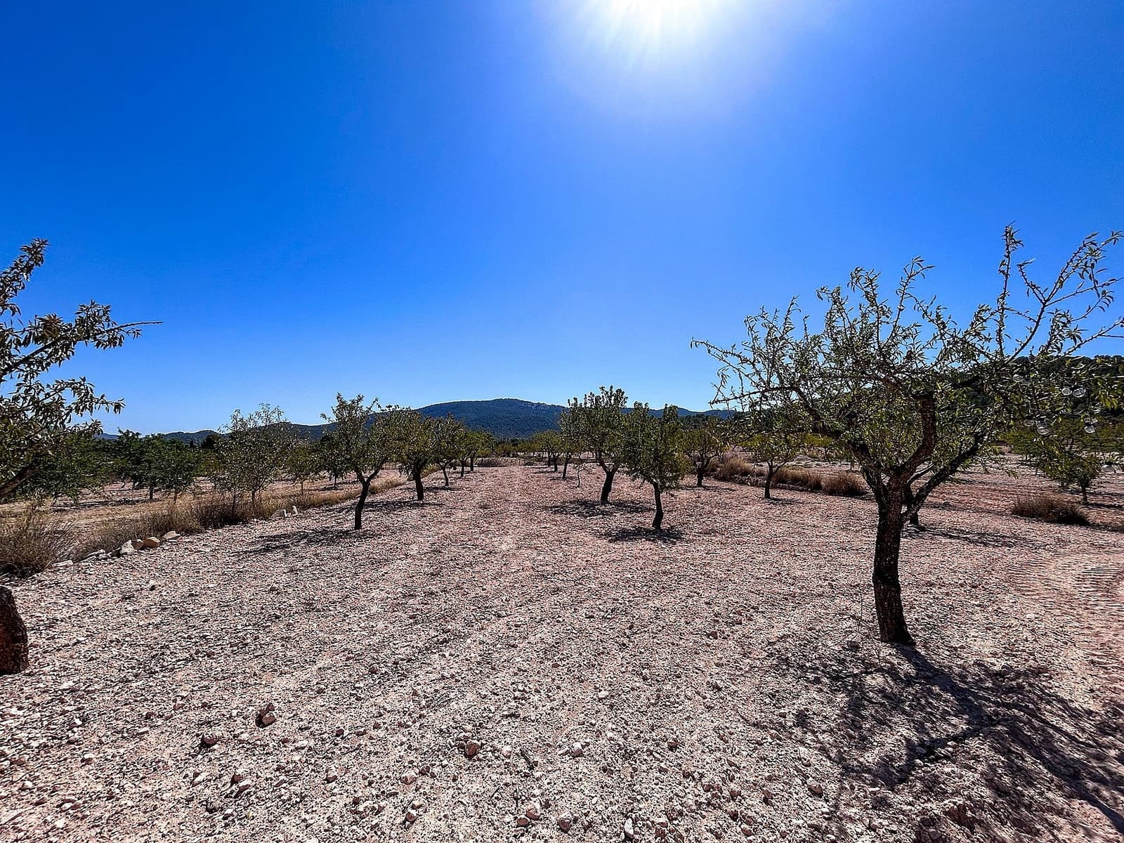 3 bedroom Finca/Country House for sale in Monovar / Monover - € 70,000 (Ref: 9475291)