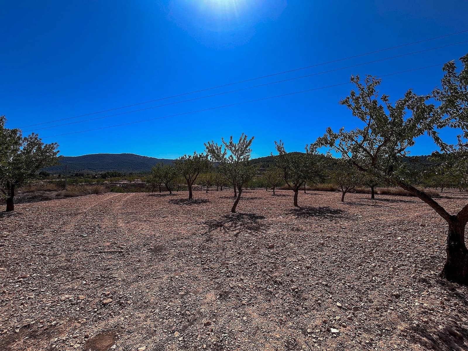 3 bedroom Finca/Country House for sale in Monovar / Monover - € 70,000 (Ref: 9475291)