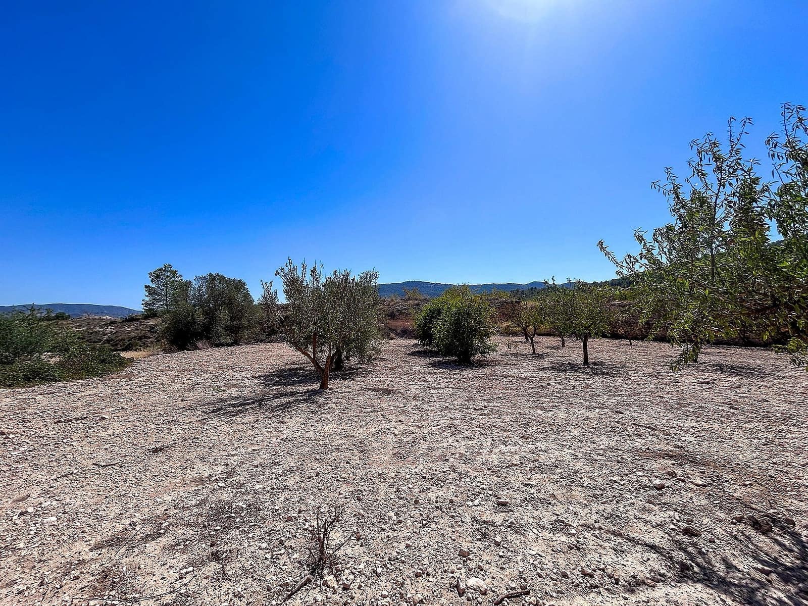 3 bedroom Finca/Country House for sale in Monovar / Monover - € 70,000 (Ref: 9475291)