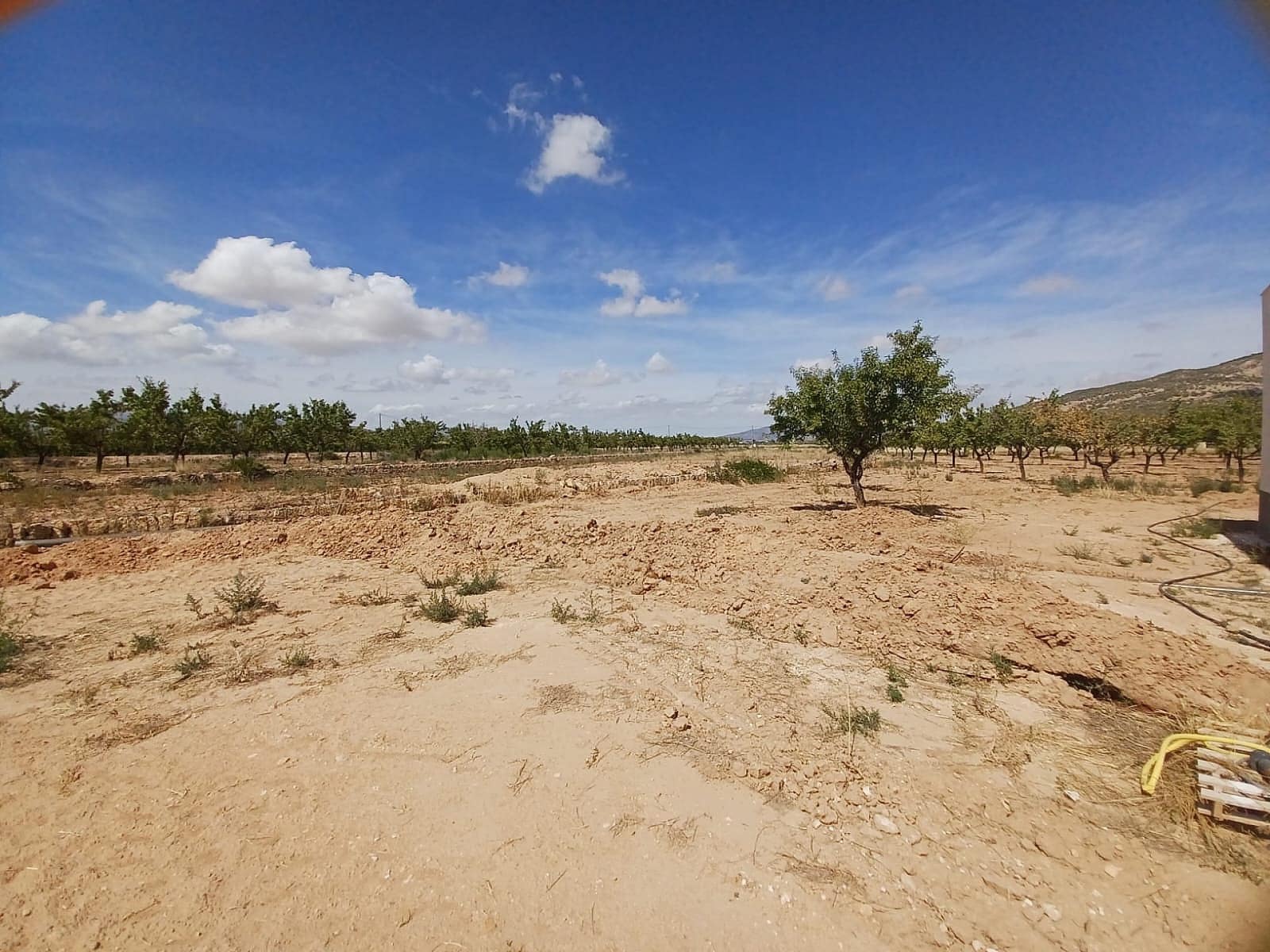 1 bedroom Villa for sale in Pinoso - € 250,000 (Ref: 9475293)