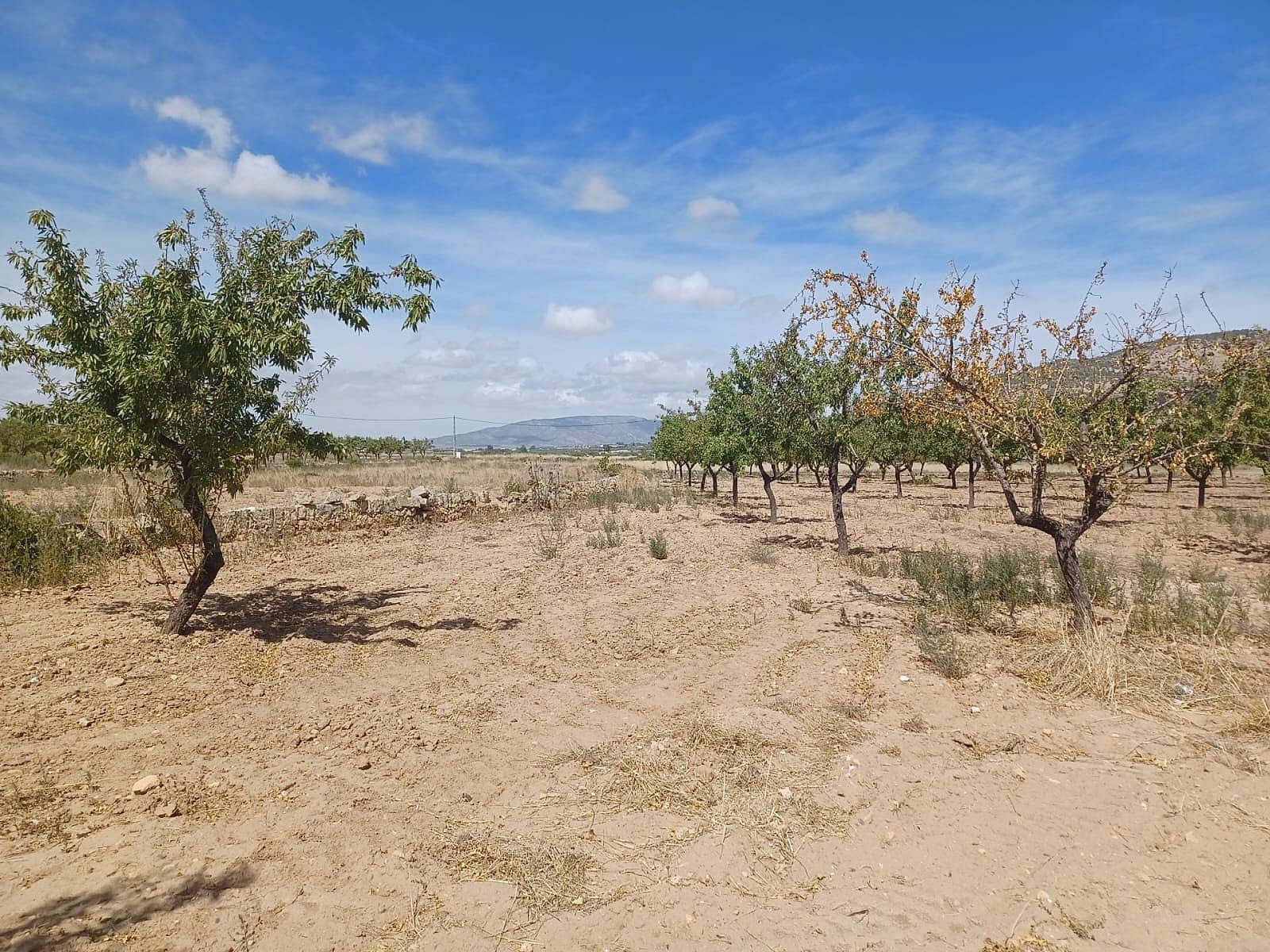 1 bedroom Villa for sale in Pinoso - € 250,000 (Ref: 9475293)