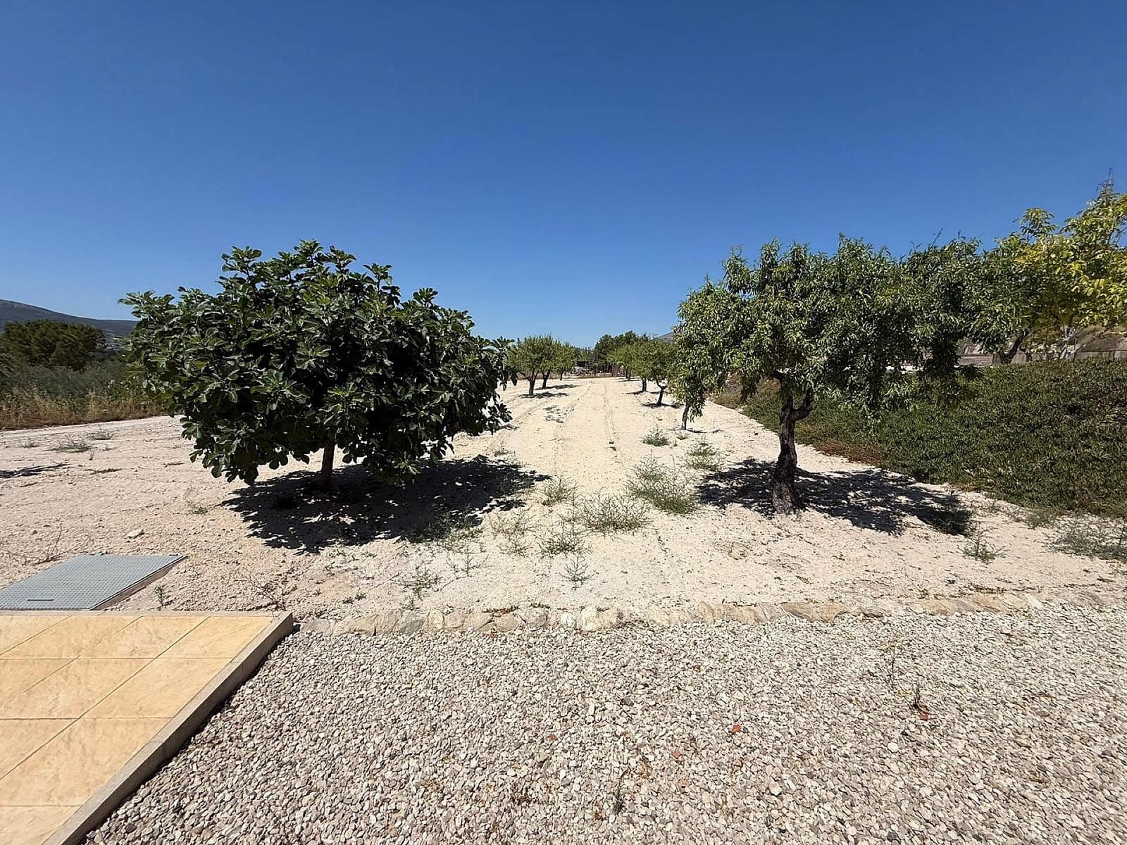 5 soverom Finca/Herregård til salgs i Castalla - € 550 000 (Ref: 9475296)