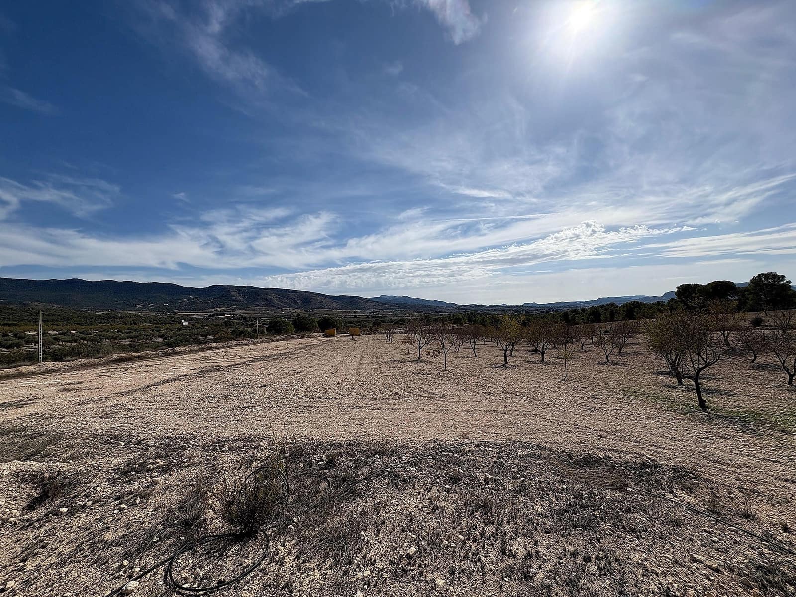 2 bedroom Villa for sale in Sax - € 199,995 (Ref: 9475318)