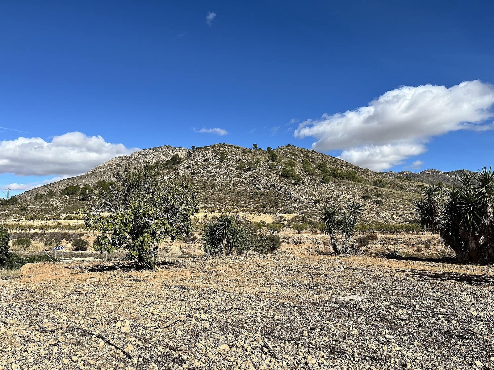 4 bedroom Finca/Country House for sale in El Canton - € 149,950 (Ref: 9475326)