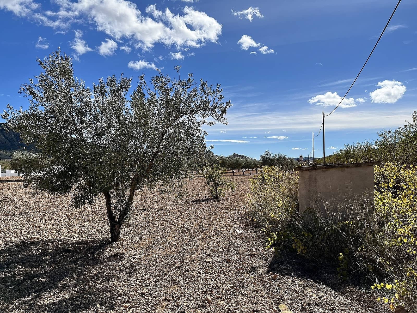 4 bedroom Finca/Country House for sale in El Canton - € 149,950 (Ref: 9475326)