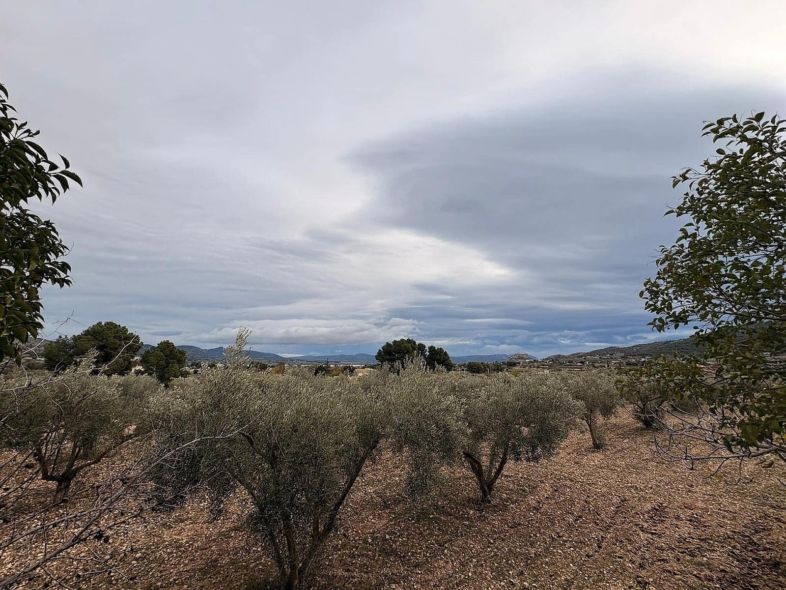 Terreno Non Edificato in vendita in Onil - 90.000 € (Rif: 9475341)