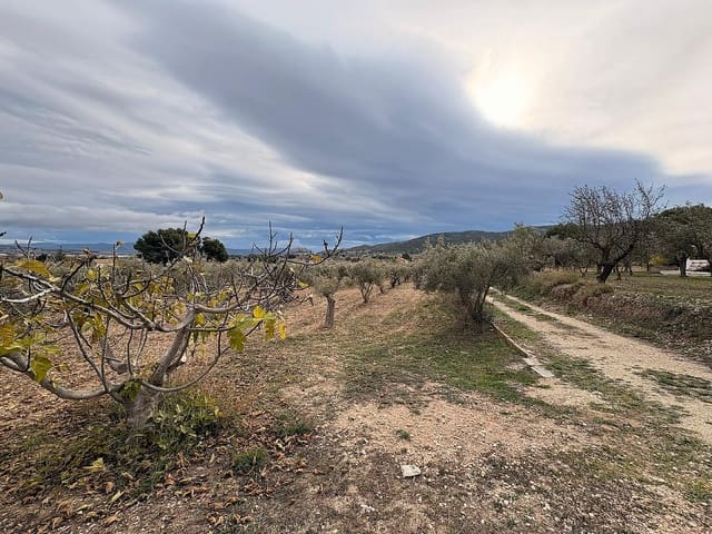 Terreno Non Edificato in vendita in Onil - 90.000 € (Rif: 9475341)