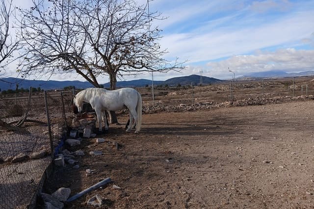3 Zimmer Finca/Landgut zu verkaufen in Monóvar / Monóver - 200.000 € (Ref: 9475342)
