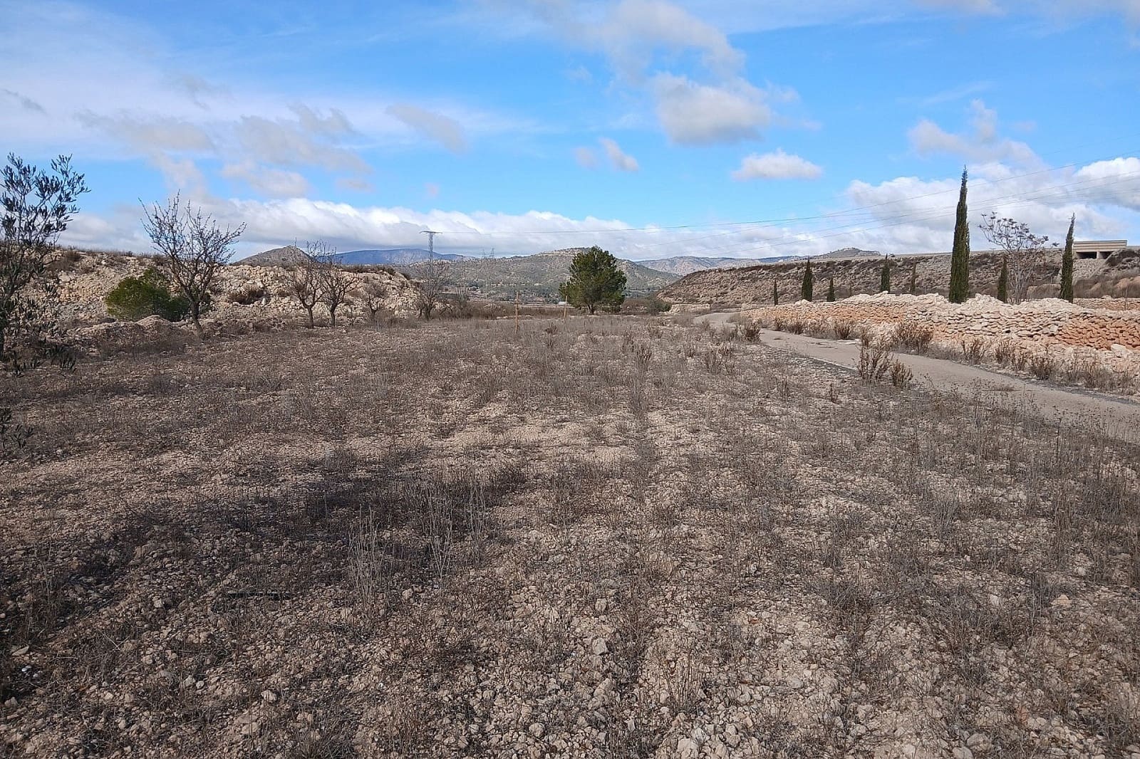 3 bedroom Finca/Country House for sale in Monovar / Monover - € 200,000 (Ref: 9475342)