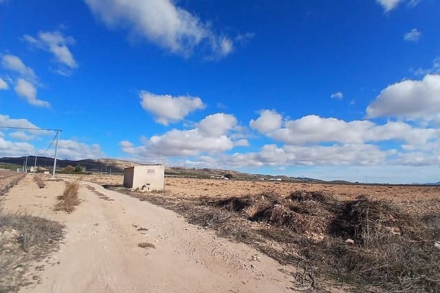 Undeveloped Land for sale in Yecla - € 37,000 (Ref: 9475343)