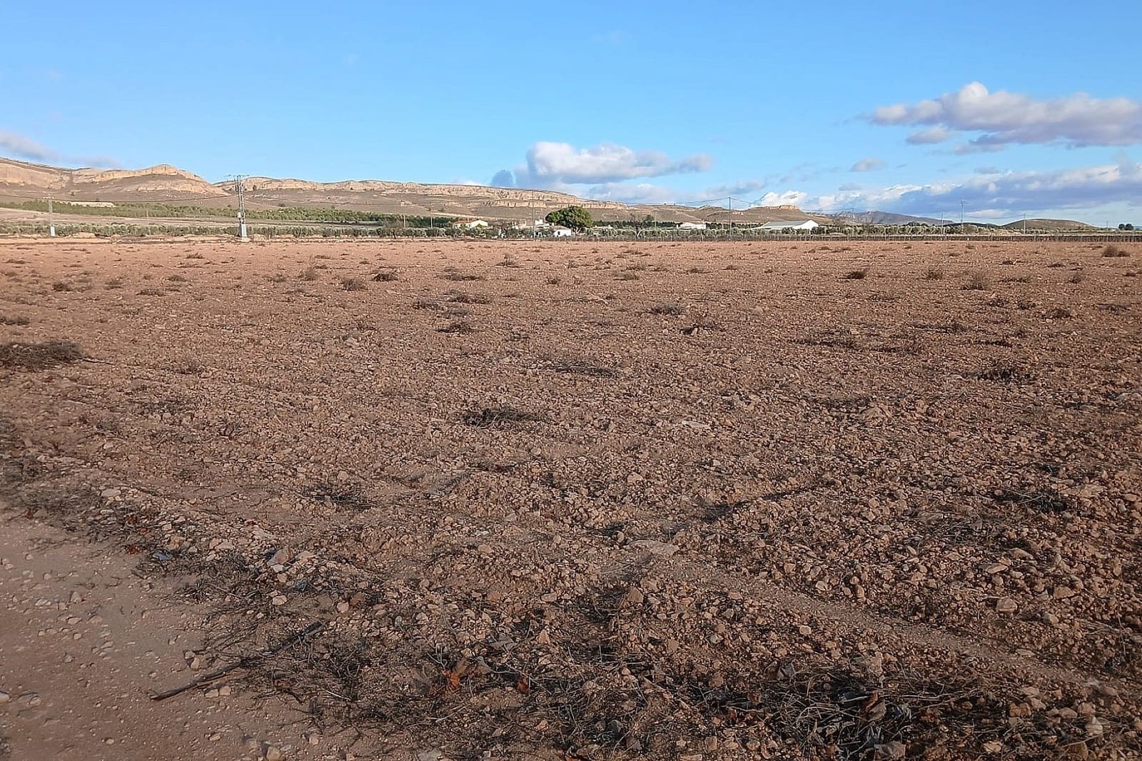 Undeveloped Land for sale in Yecla - € 37,000 (Ref: 9475343)