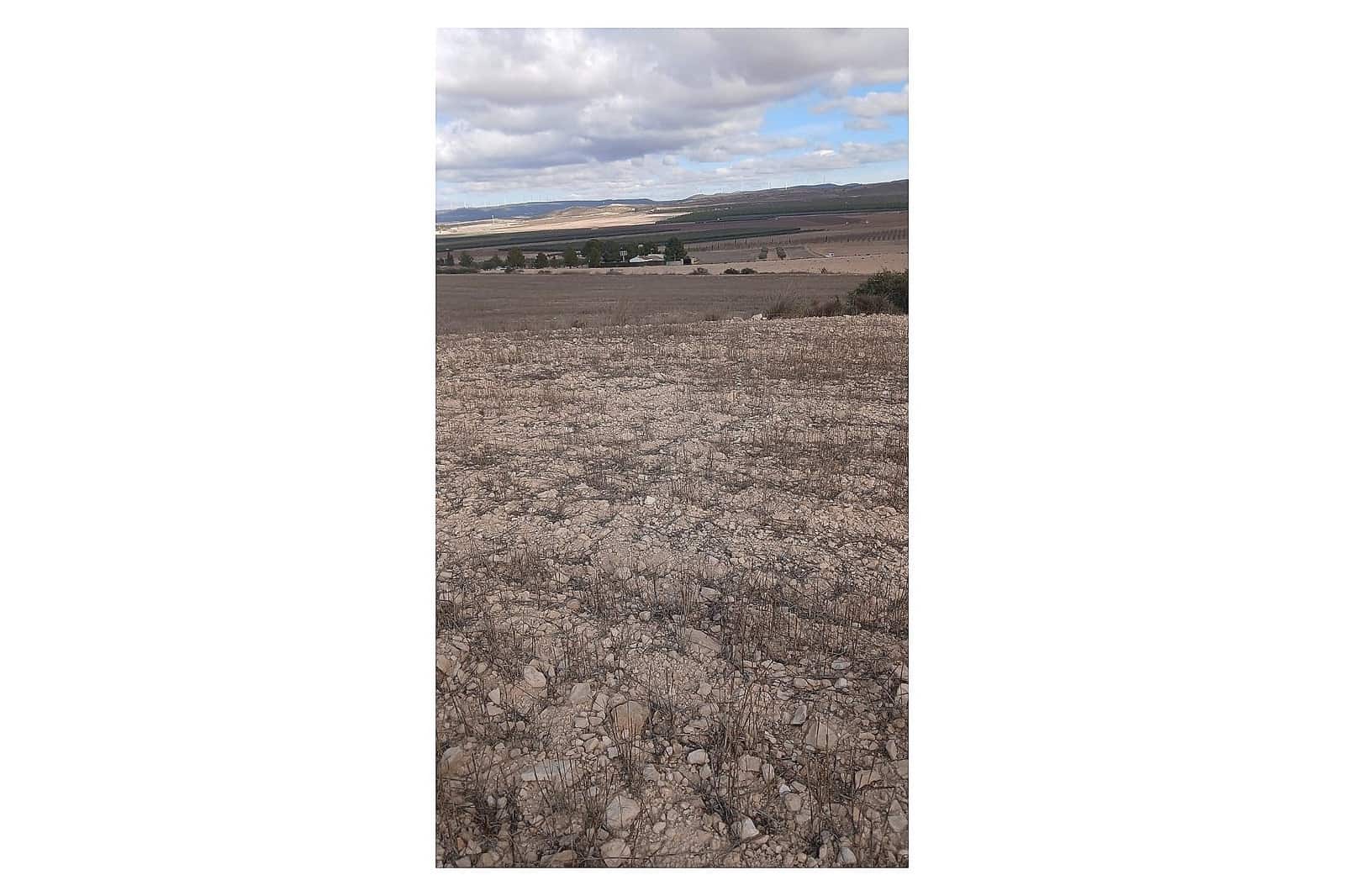 Undeveloped Land for sale in Yecla - € 216,460 (Ref: 9475344)