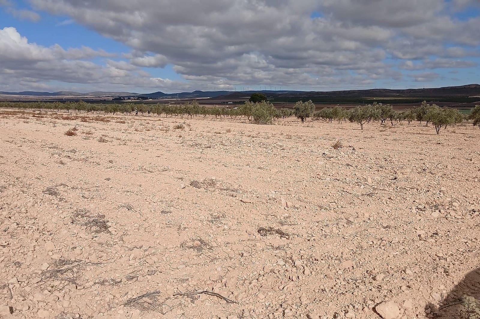 Undeveloped Land for sale in Yecla - € 216,460 (Ref: 9475344)