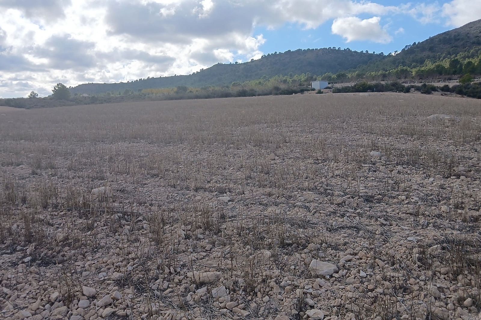 Undeveloped Land for sale in Yecla - € 216,460 (Ref: 9475344)
