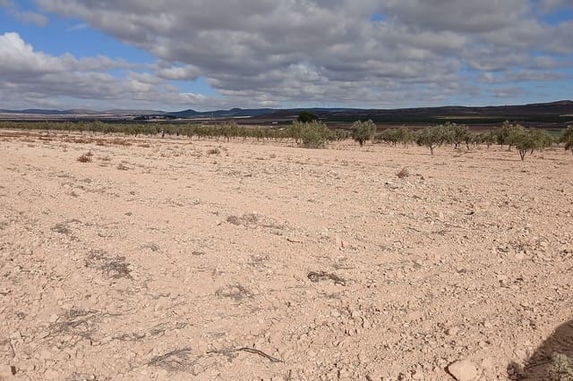 Undeveloped Land for sale in Yecla - € 216,460 (Ref: 9475344)