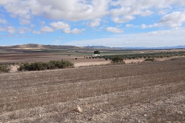 Undeveloped Land for sale in Yecla - € 216,460 (Ref: 9475344)