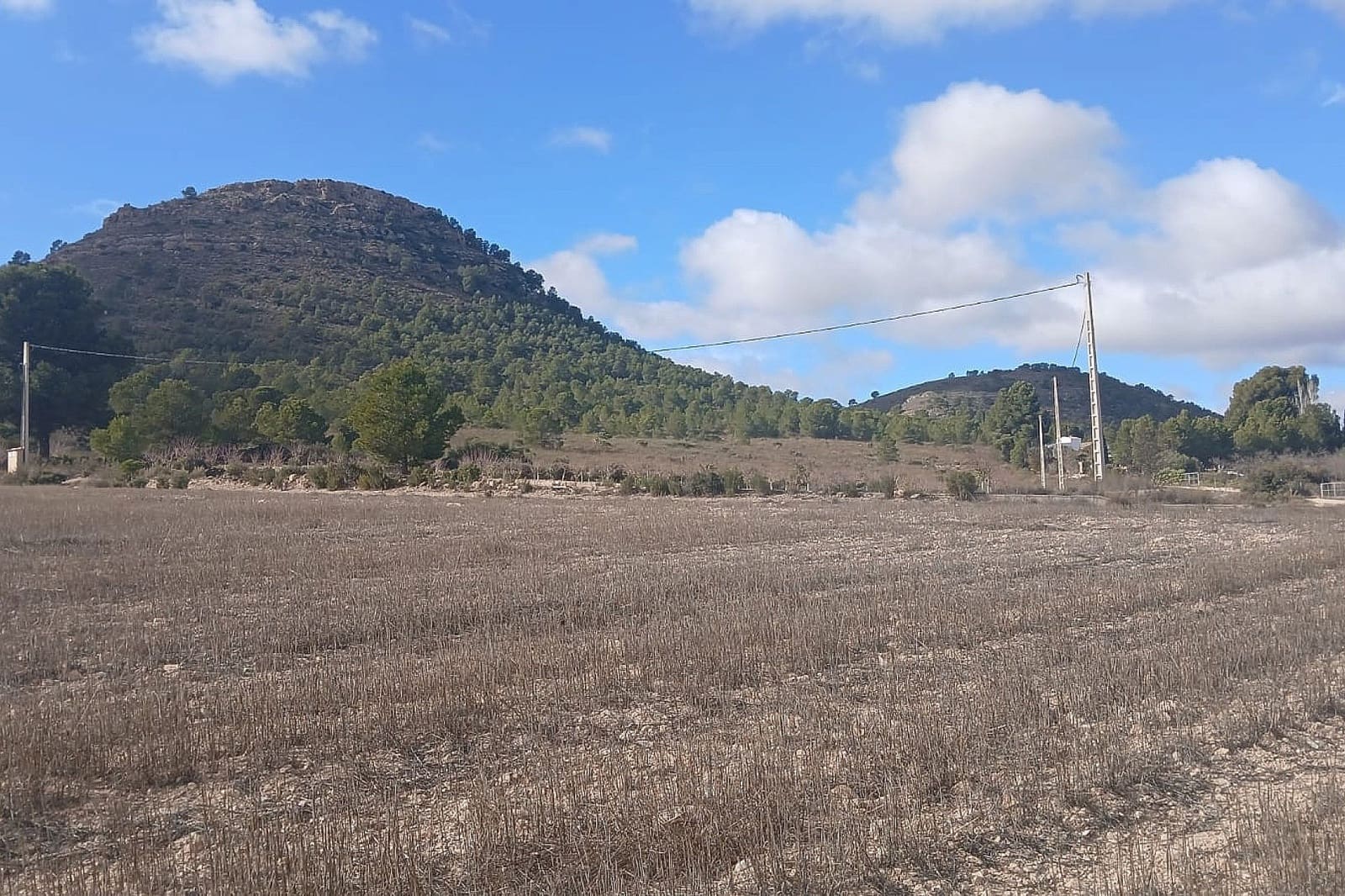 Undeveloped Land for sale in Yecla - € 216,460 (Ref: 9475344)