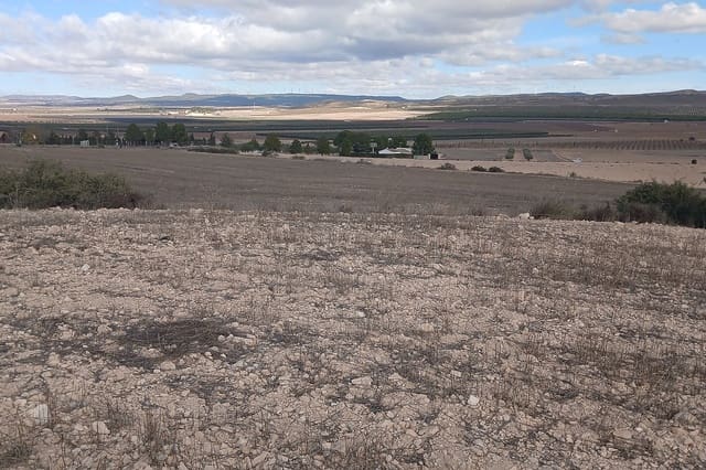 Undeveloped Land for sale in Yecla - € 216,460 (Ref: 9475344)