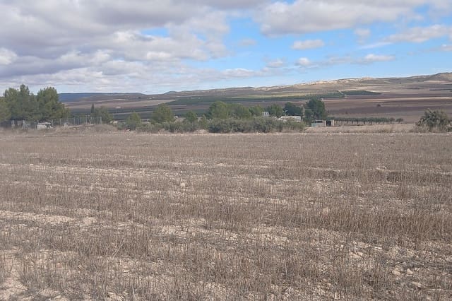 Undeveloped Land for sale in Yecla - € 216,460 (Ref: 9475344)