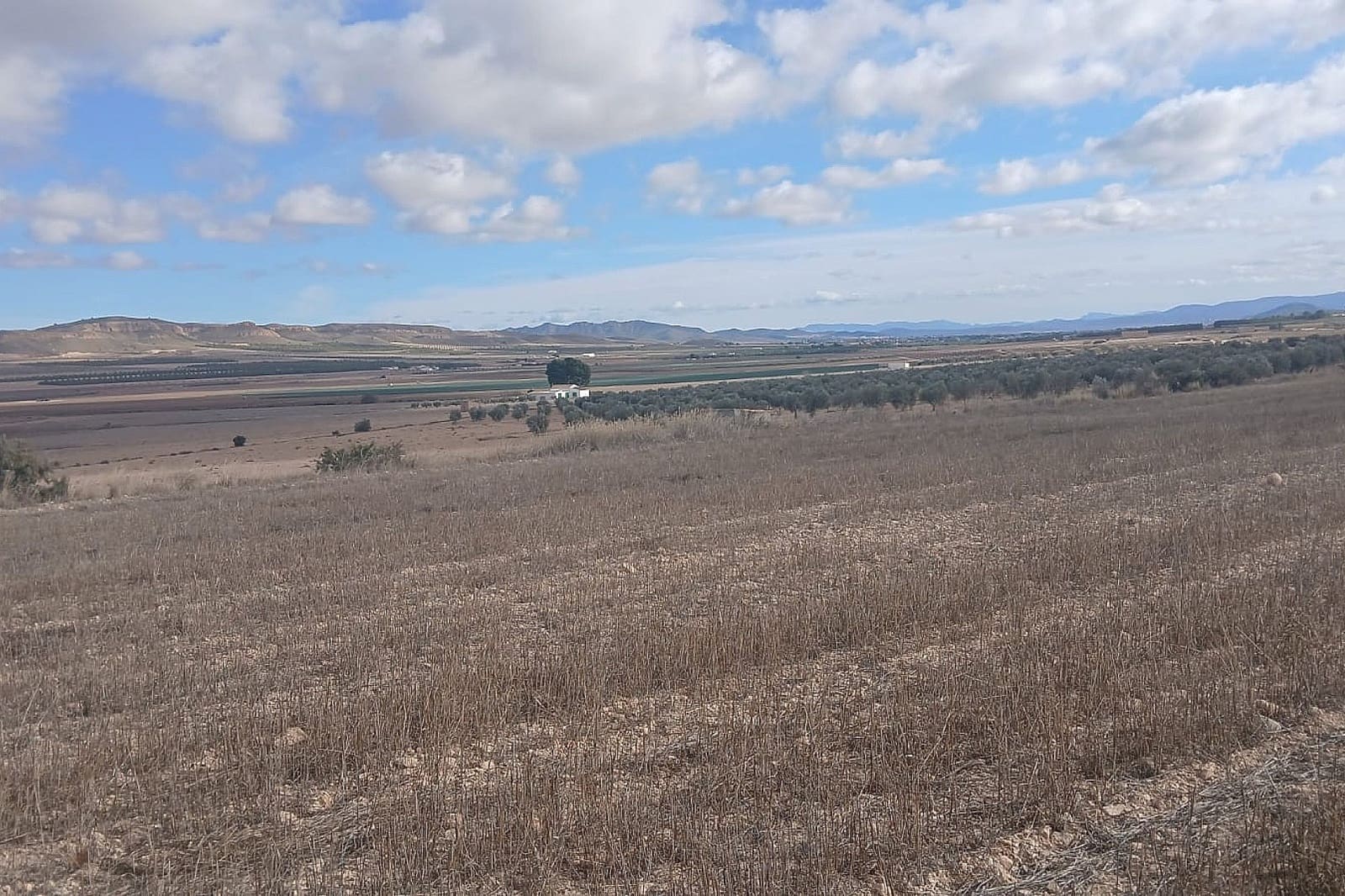 Undeveloped Land for sale in Yecla - € 216,460 (Ref: 9475344)