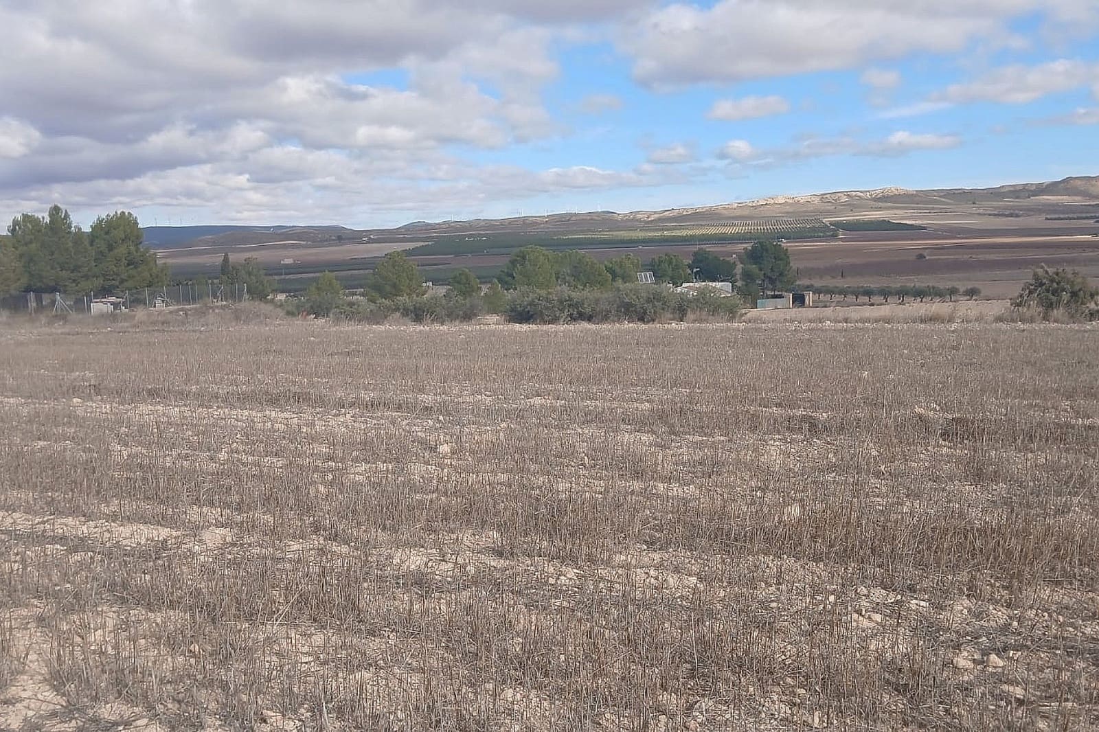 Undeveloped Land for sale in Yecla - € 216,460 (Ref: 9475344)