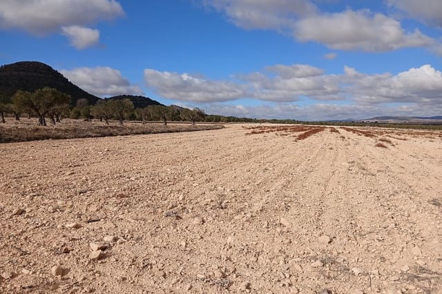 Undeveloped Land for sale in Yecla - € 216,460 (Ref: 9475344)