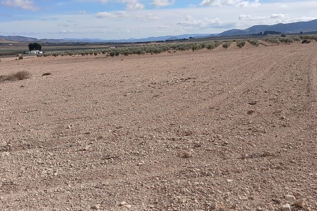 Undeveloped Land for sale in Yecla - € 216,460 (Ref: 9475344)