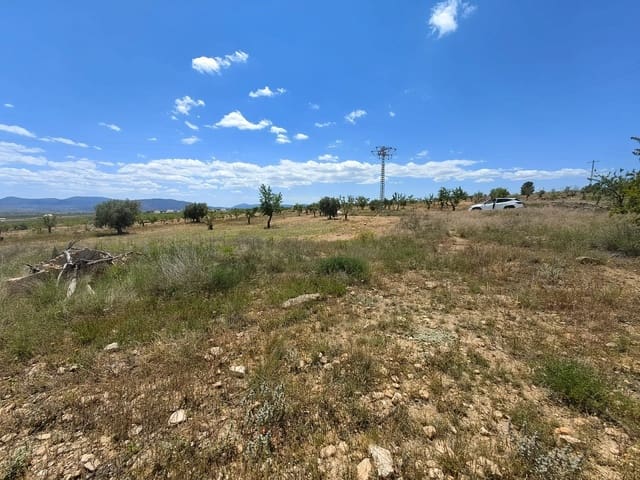 Ruin til salg i Pinoso - € 49.900 (Ref: 9475510)