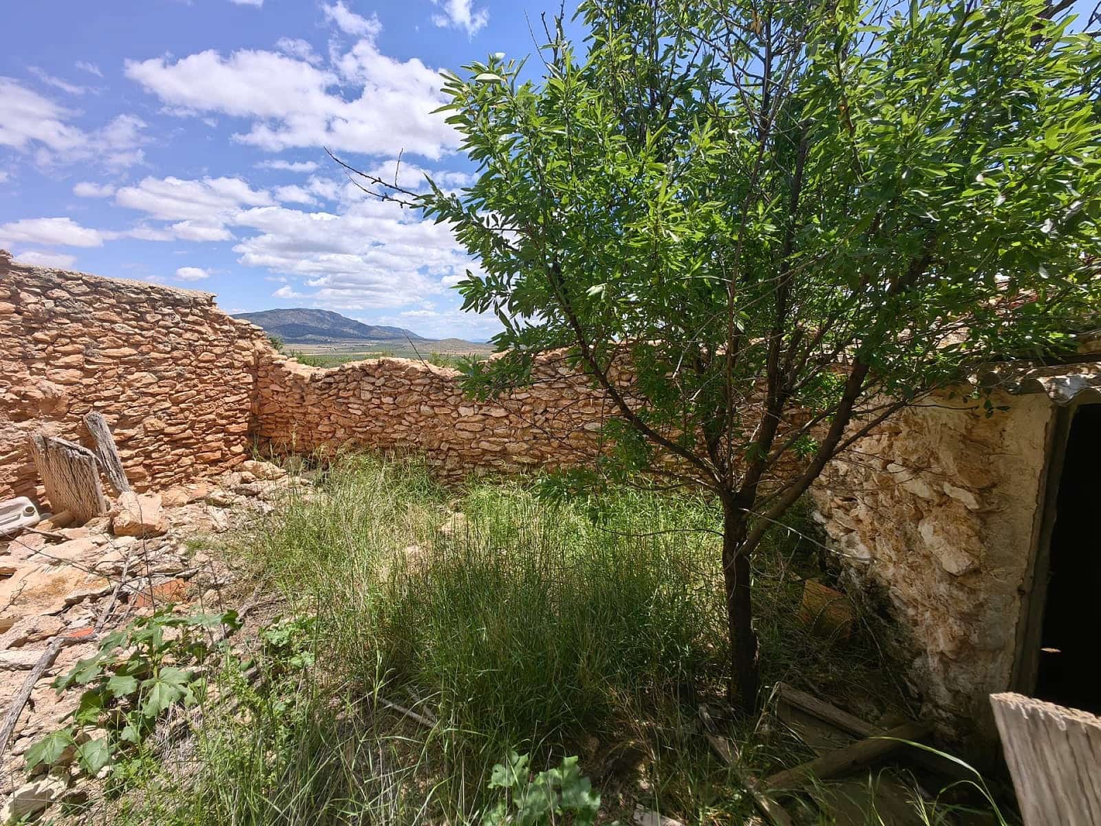 Ruin til salg i Pinoso - € 49.900 (Ref: 9475510)
