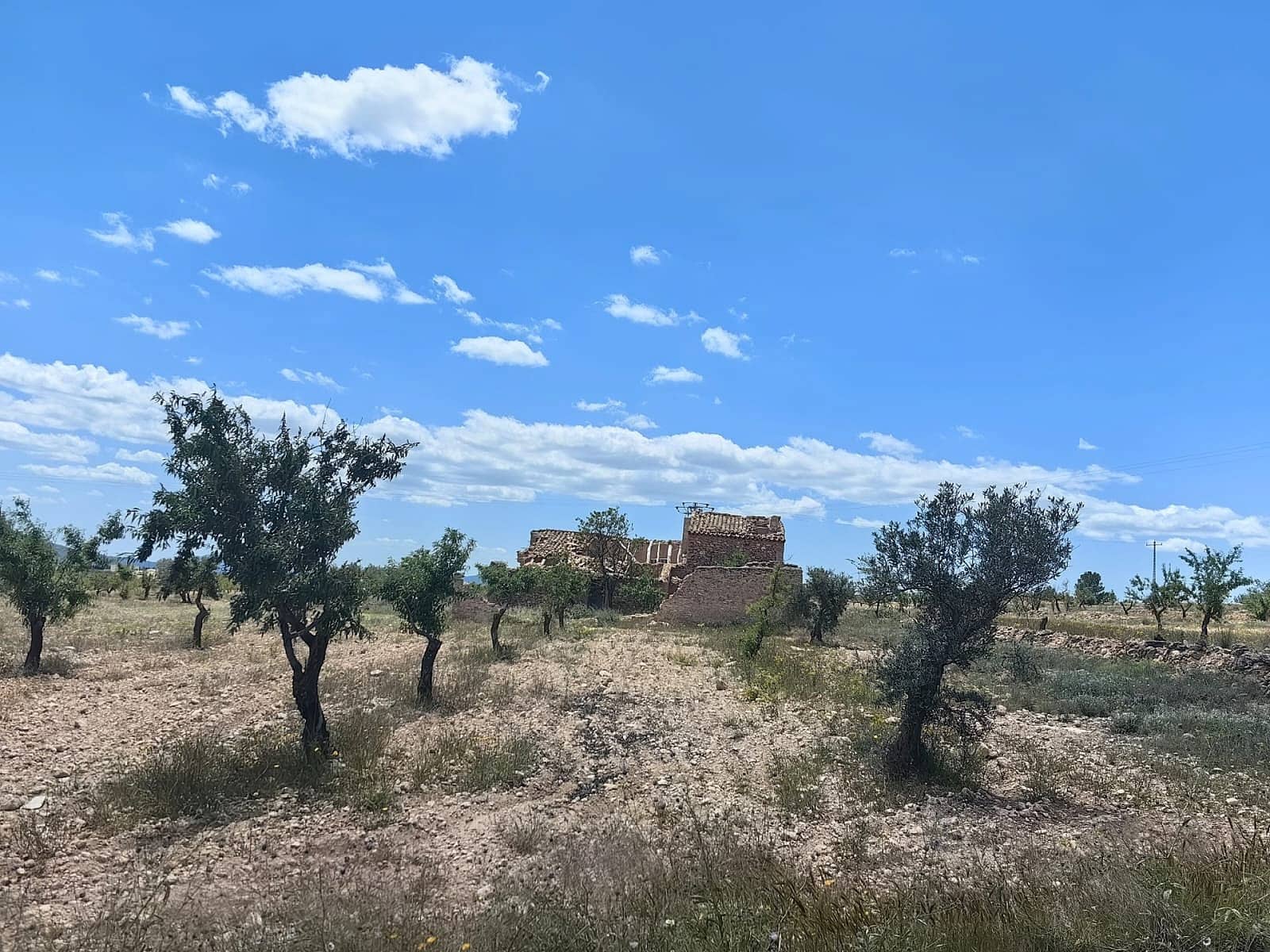 Ruin til salg i Pinoso - € 49.900 (Ref: 9475510)